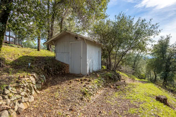 a view of backyard with tub and trees
