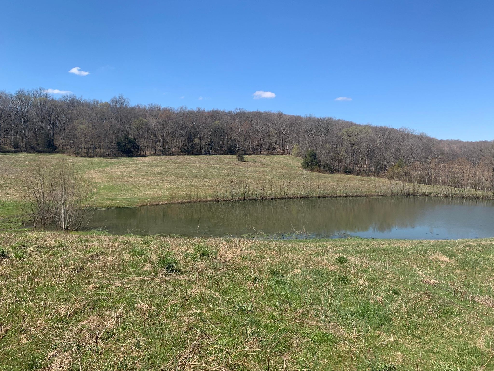 249 Kyle Hollow Road Alexandria, TN 37012 - Photo 1 of 10 Gallery Image 1