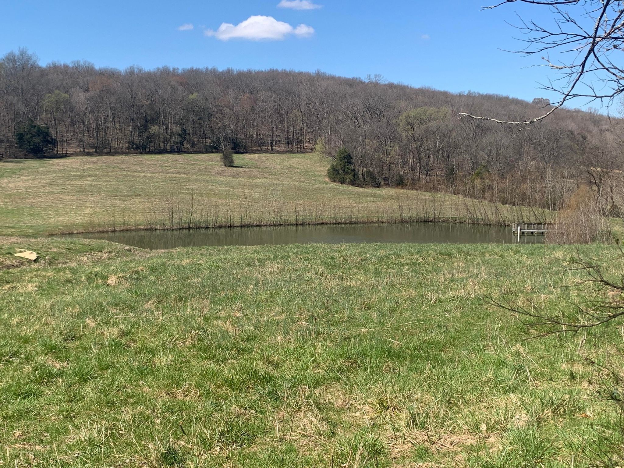 249 Kyle Hollow Road Alexandria, TN 37012 - Photo 2 of 10 Gallery Image 2