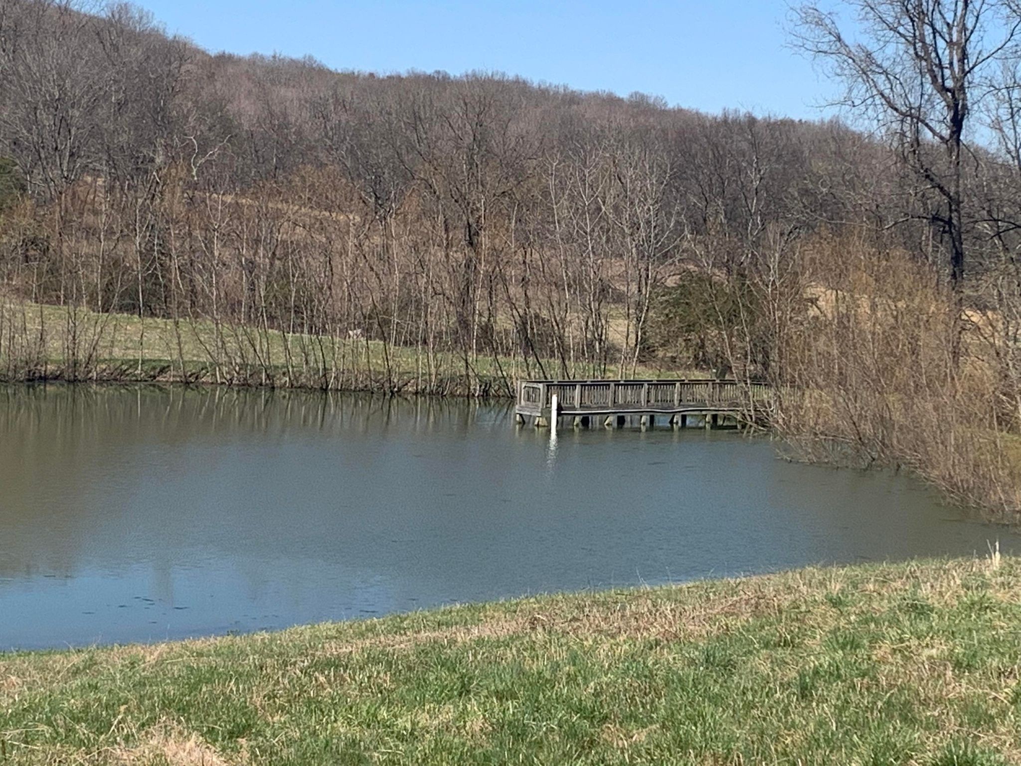 249 Kyle Hollow Road Alexandria, TN 37012 - Photo 3 of 10 Gallery Image 3