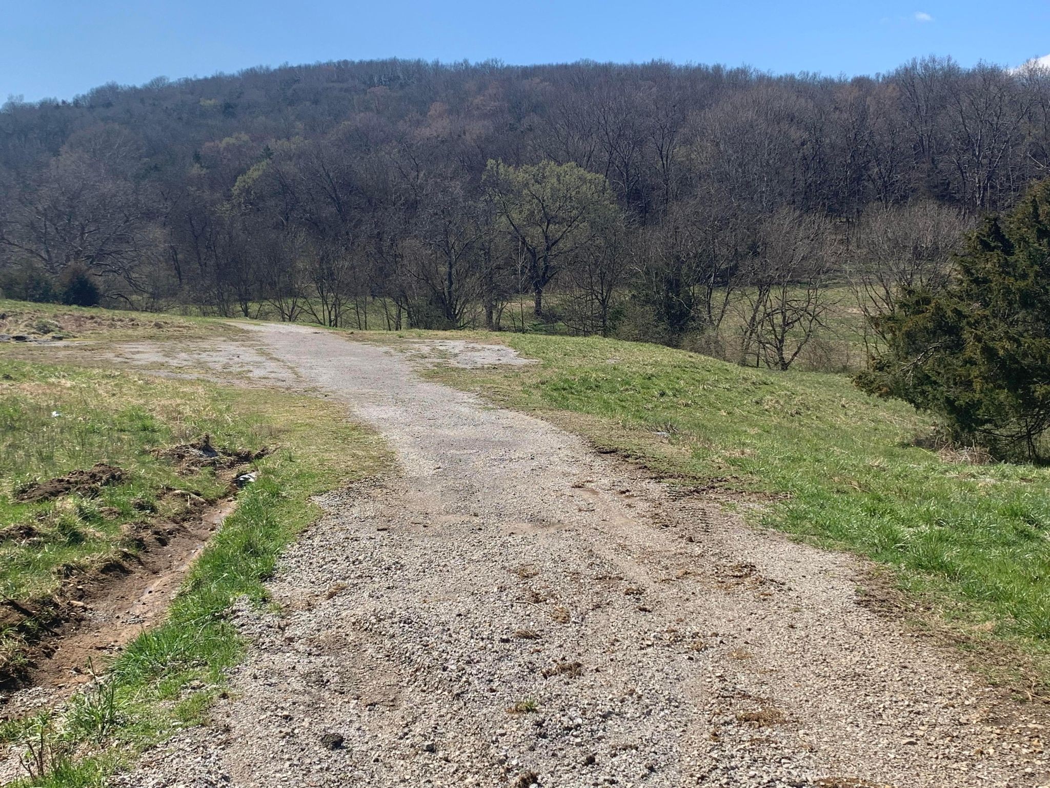 249 Kyle Hollow Road Alexandria, TN 37012 - Photo 4 of 10 Gallery Image 4