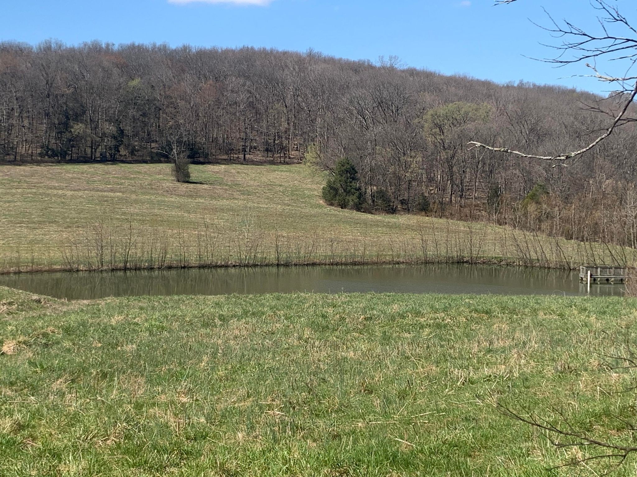 249 Kyle Hollow Road Alexandria, TN 37012 - Photo 6 of 10 Gallery Image 6