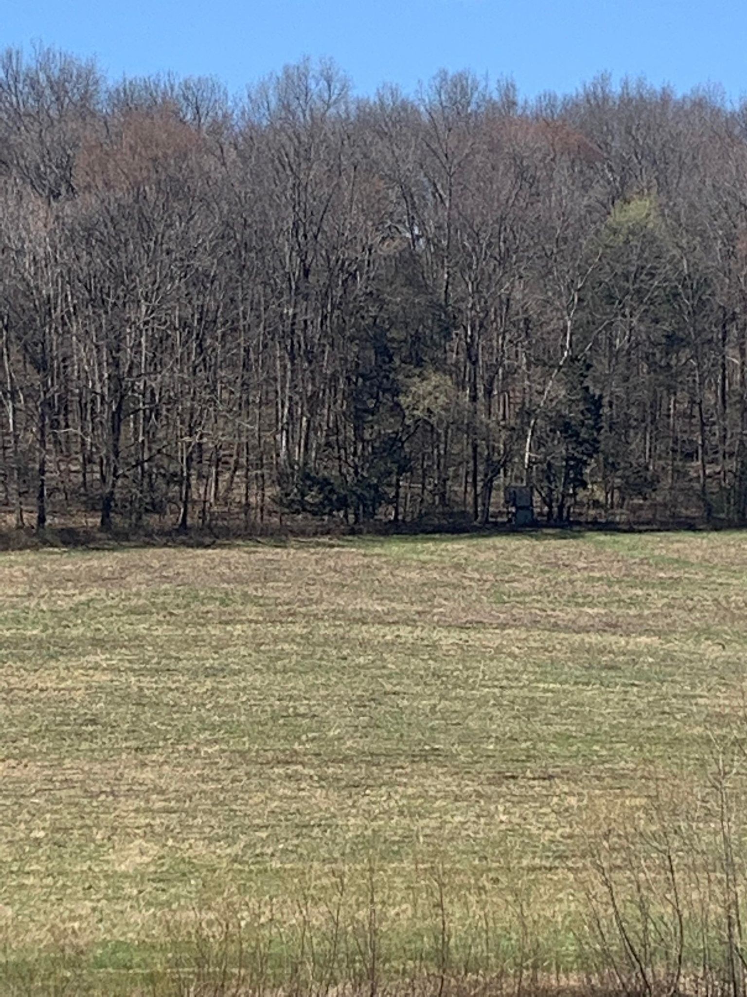 249 Kyle Hollow Road Alexandria, TN 37012 - Photo 10 of 10 Gallery Image 10