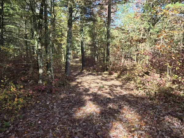 $55,000 | 0 West Coolidge, Bitely, MI 49309