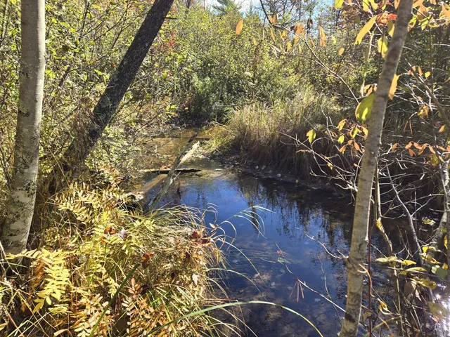 $55,000 | 0 West Coolidge, Bitely, MI 49309