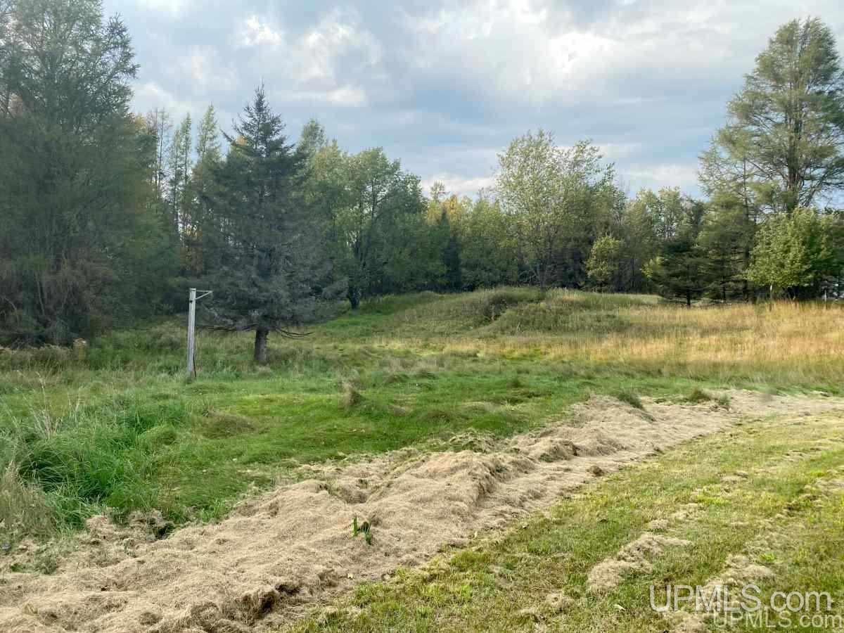 W8189 Co Road Vulcan, MI 49892 - Photo 14 of 16