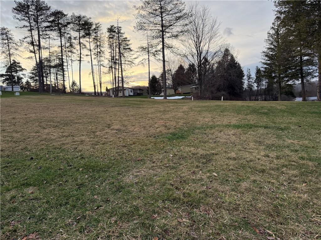 0 Ashley Drive Indiana, PA 15701 - Photo 7 of 13 a view of yard with trees