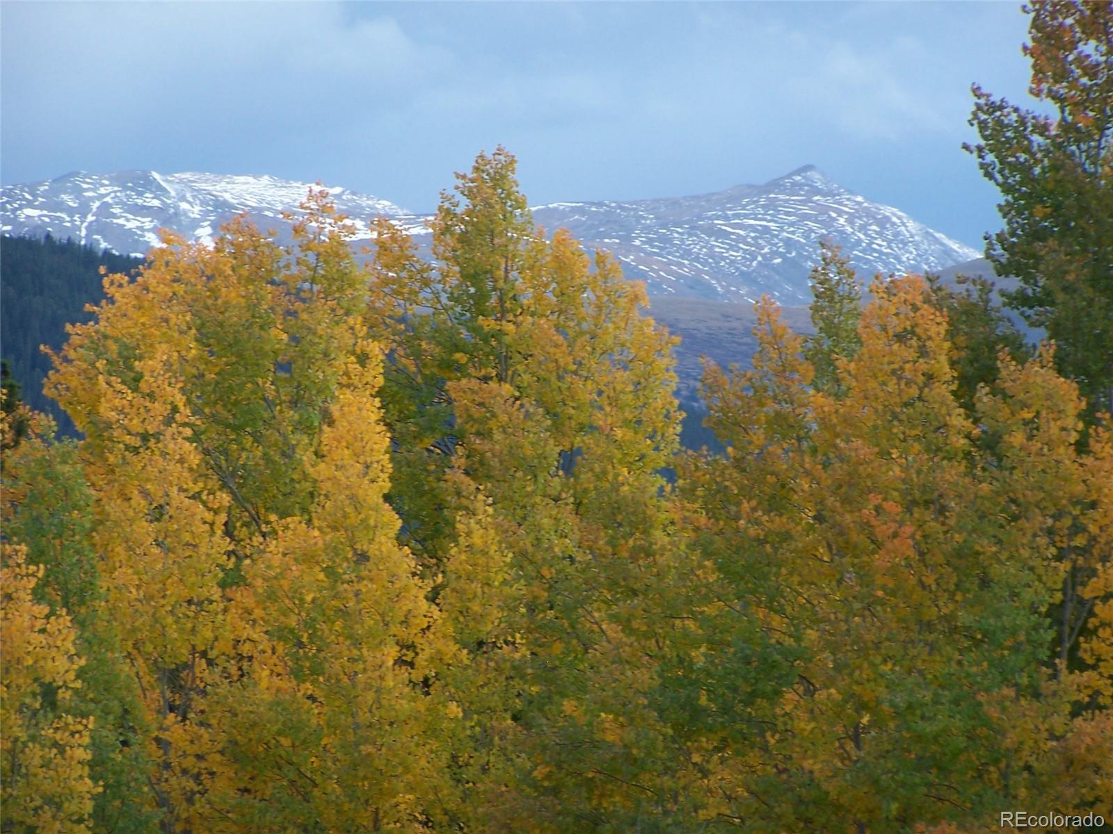 Ridge Road Alma, CO 80420 - Photo 12 of 17