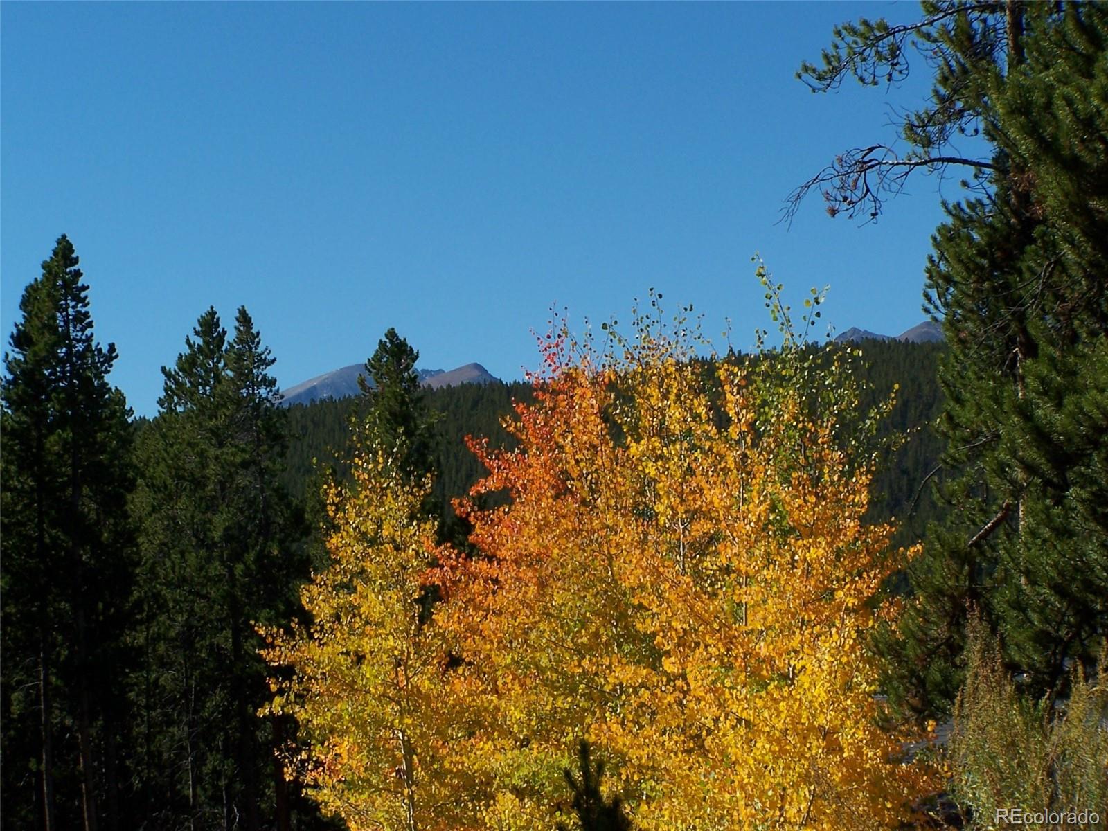 Ridge Road Alma, CO 80420 - Photo 13 of 17 a view of a yard