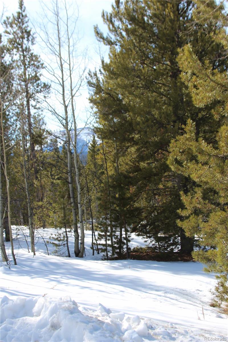Ridge Road Alma, CO 80420 - Photo 14 of 17 a view of a yard in front of a house