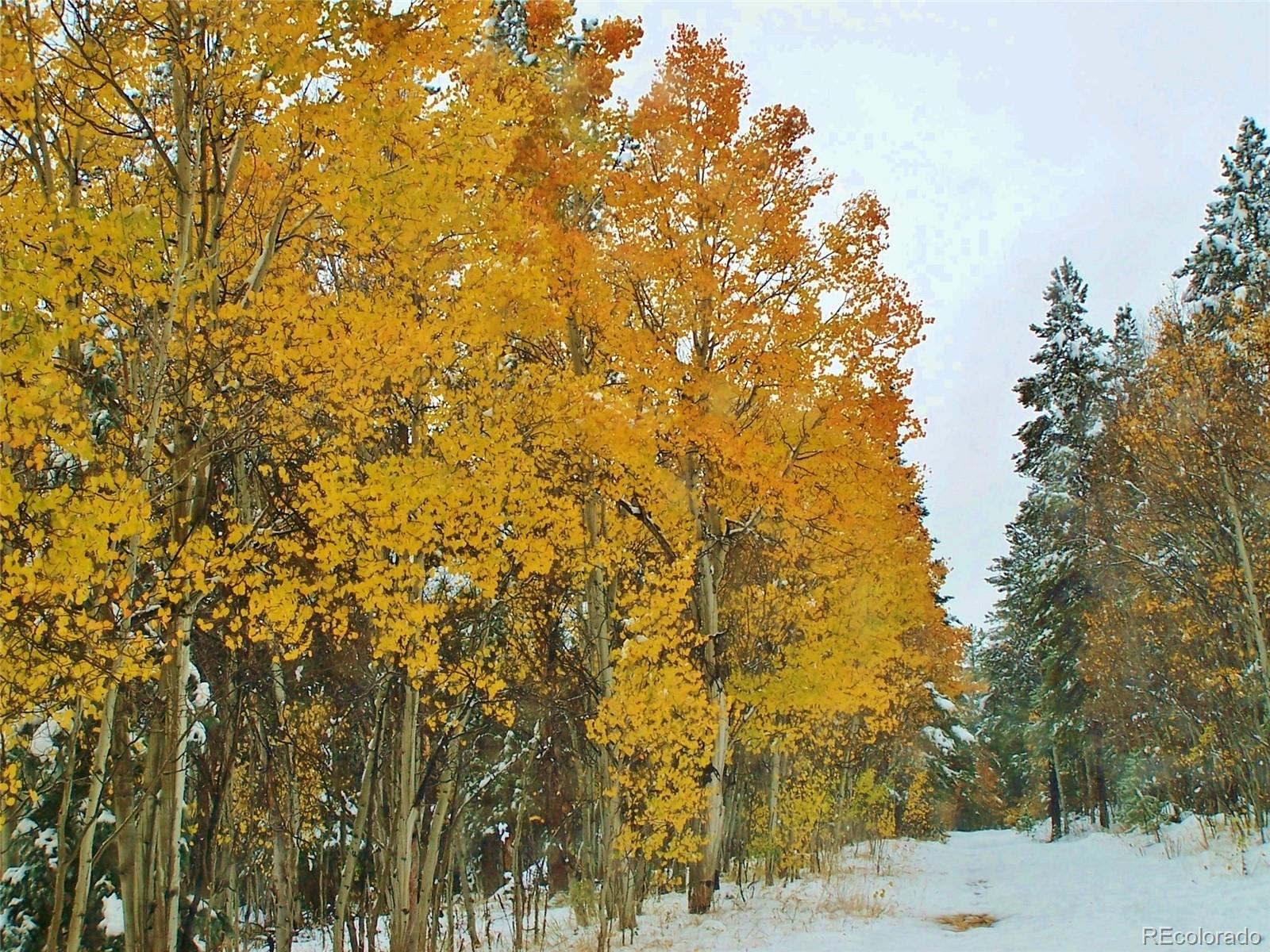 Ridge Road Alma, CO 80420 - Photo 15 of 17