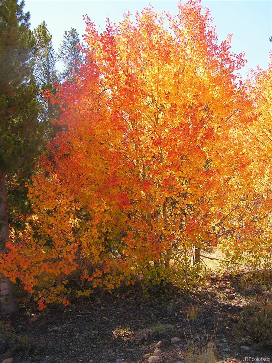 Ridge Road Alma, CO 80420 - Photo 16 of 17
