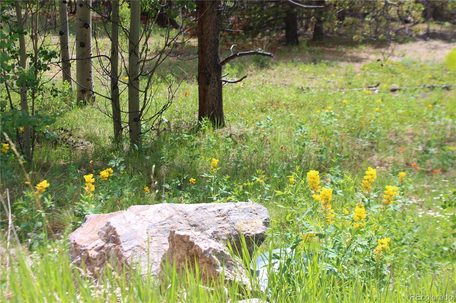 Ridge Road Alma, CO 80420 - Photo 2 of 17 a backyard of a house with large trees and plants