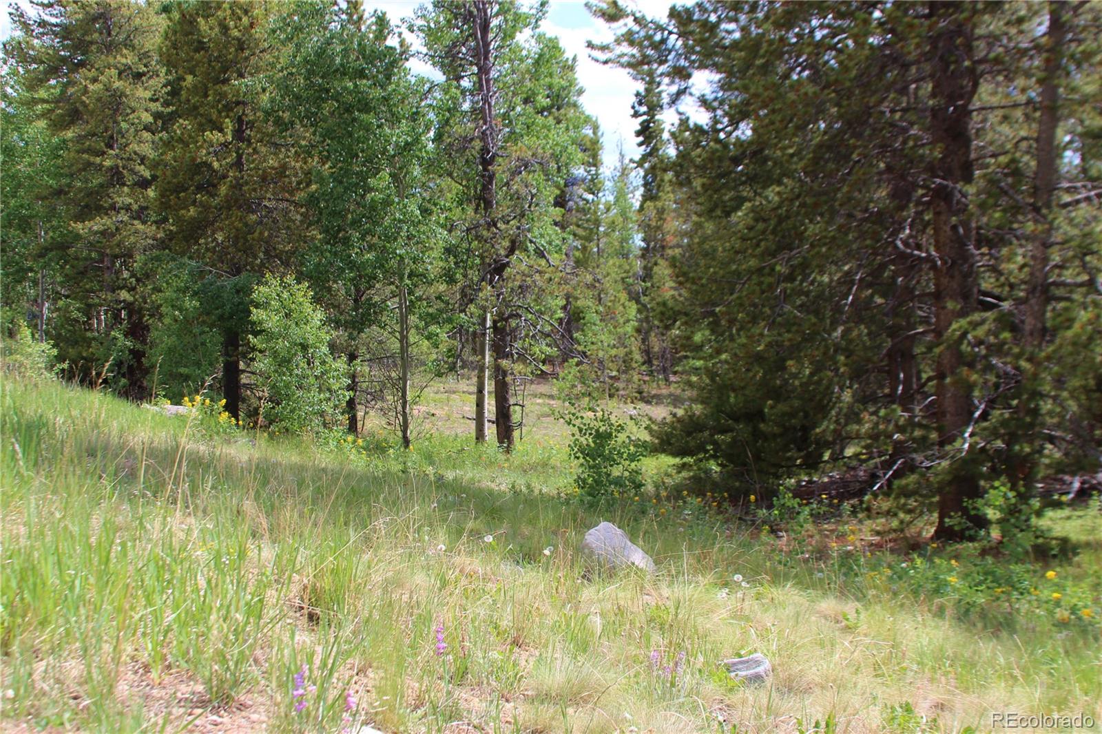 Ridge Road Alma, CO 80420 - Photo 3 of 17 a view of swimming pool with a yard