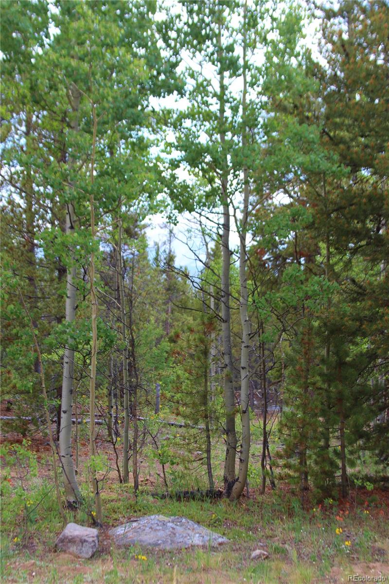 Ridge Road Alma, CO 80420 - Photo 4 of 17