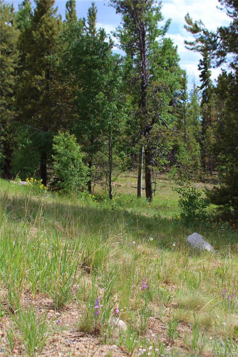Ridge Road Alma, CO 80420 - Photo 9 of 17 a large body of water with a tree in the background