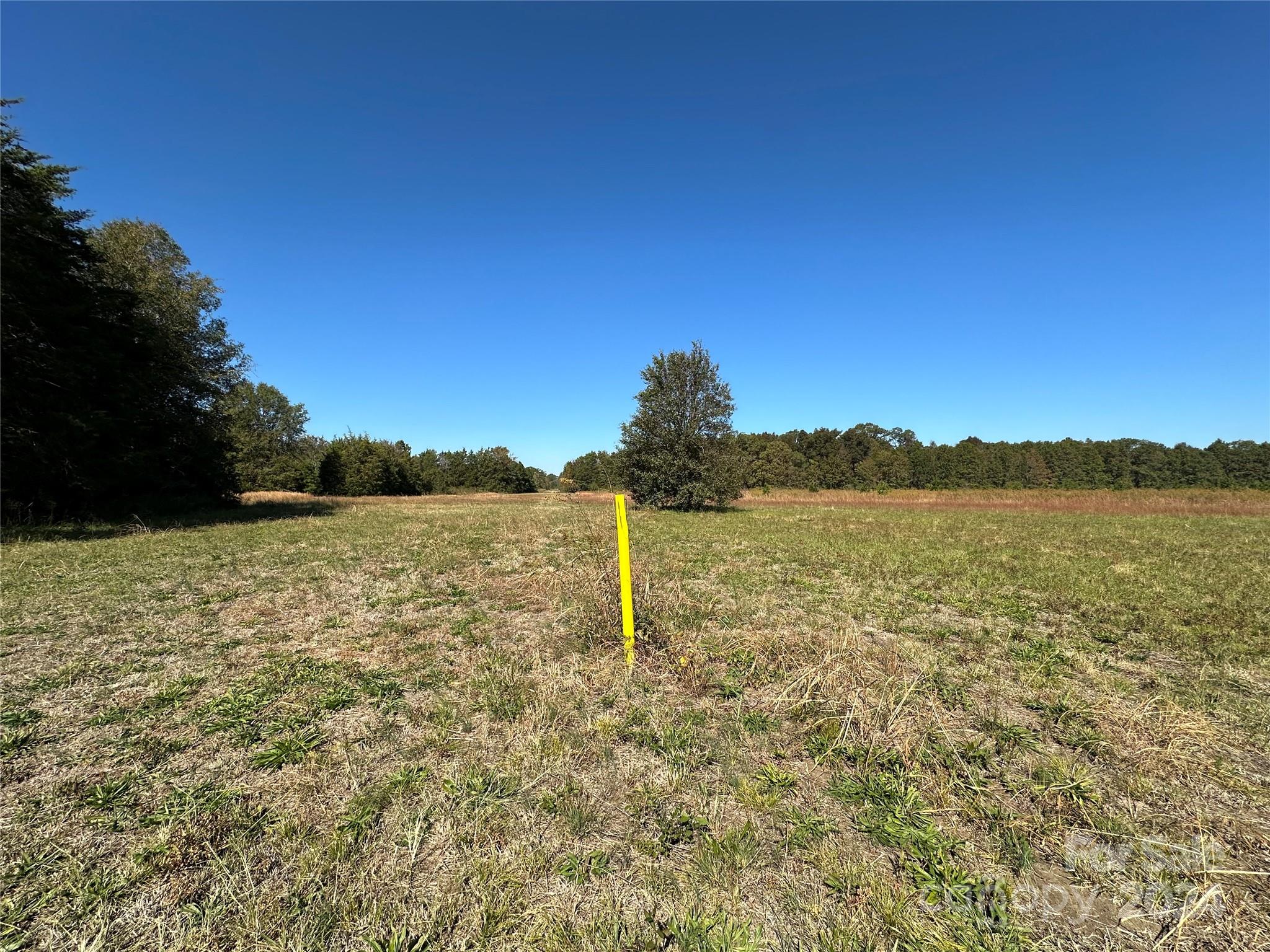 4271 Erby Road Rock Hill, SC 29730 - Photo 4 of 4