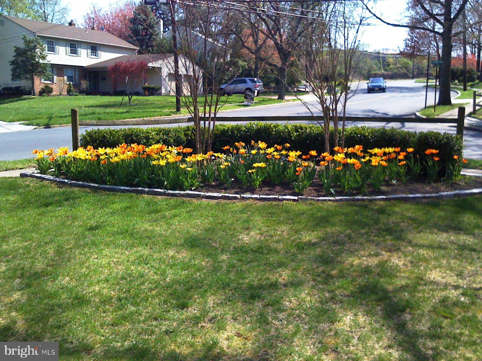 550 Covered Bridge Road Cherry Hill, NJ 08034 - Photo 40 of 40
