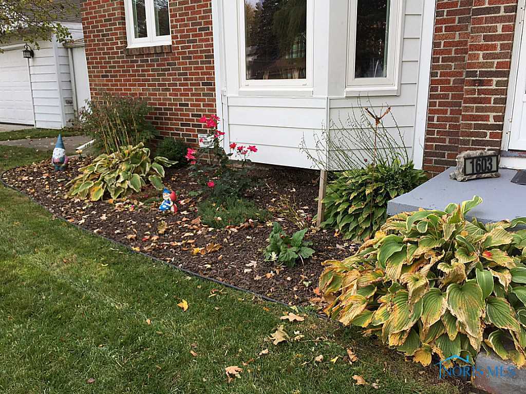 1603 Gilbert Road Toledo, OH 43614 - Photo 11 of 12 Gallery Image 11
