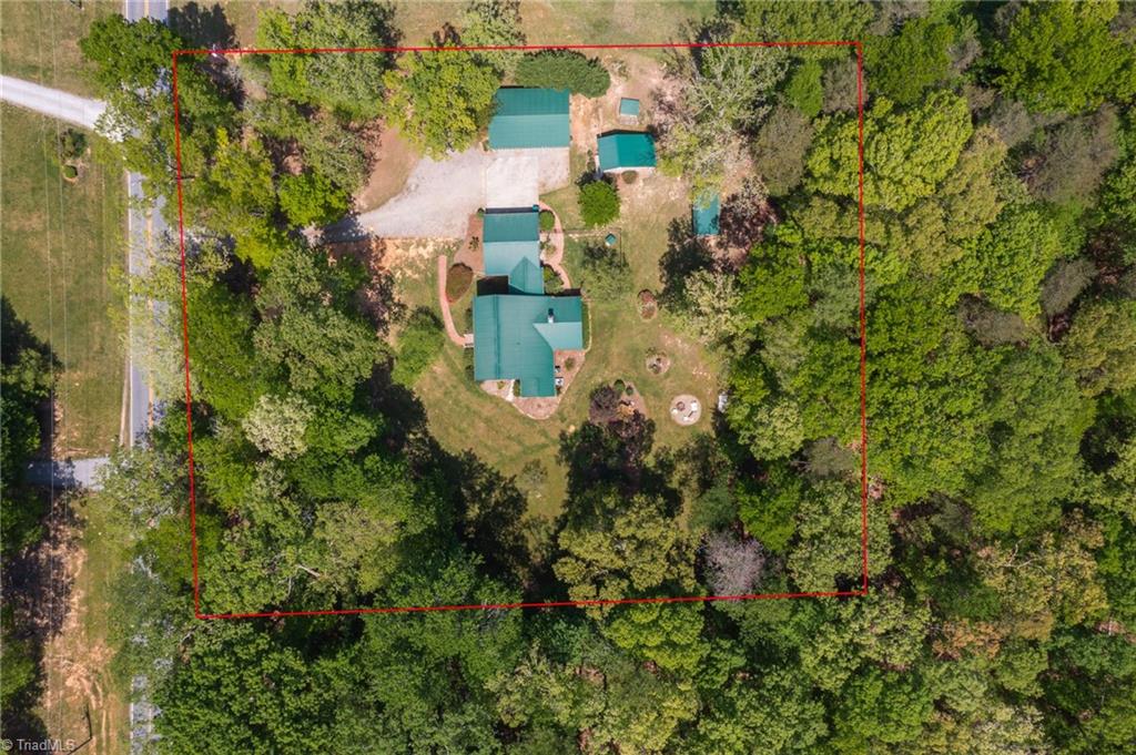 851 Goose Pond Road Ruffin, NC 27326 - Photo 31 of 38