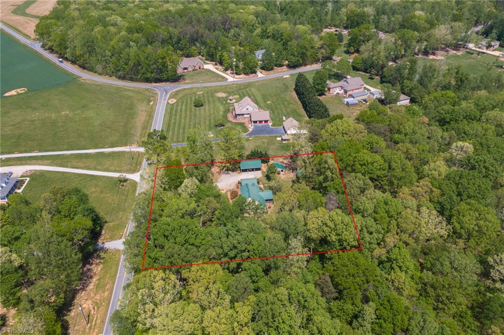 851 Goose Pond Road Ruffin, NC 27326 - Photo 33 of 38