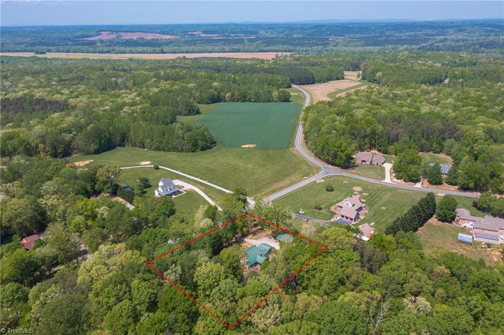 851 Goose Pond Road Ruffin, NC 27326 - Photo 34 of 38