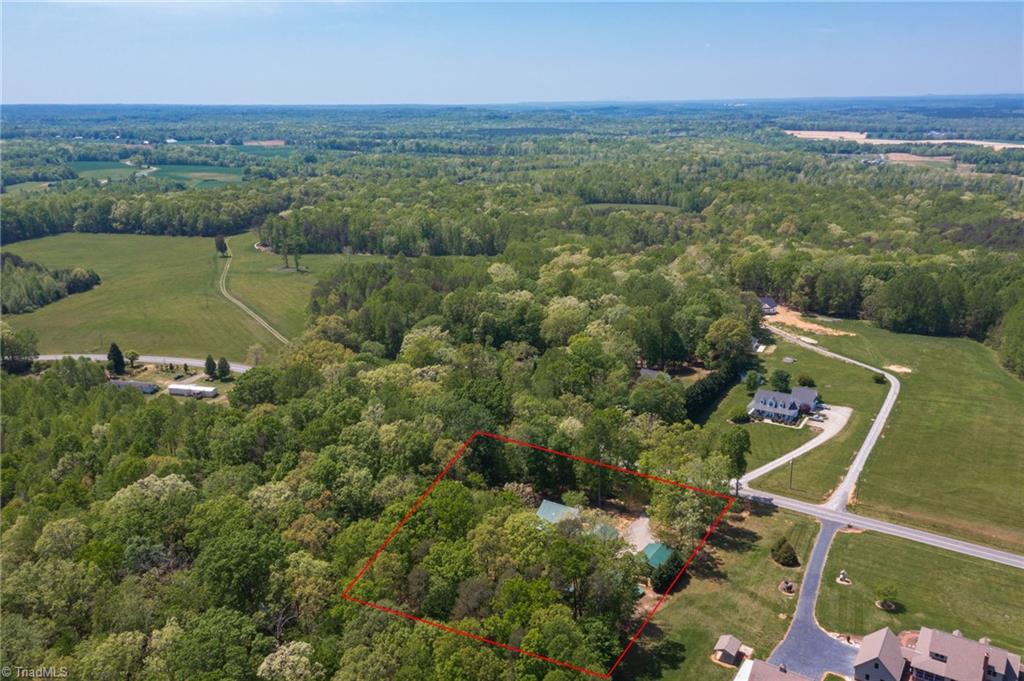 851 Goose Pond Road Ruffin, NC 27326 - Photo 36 of 38