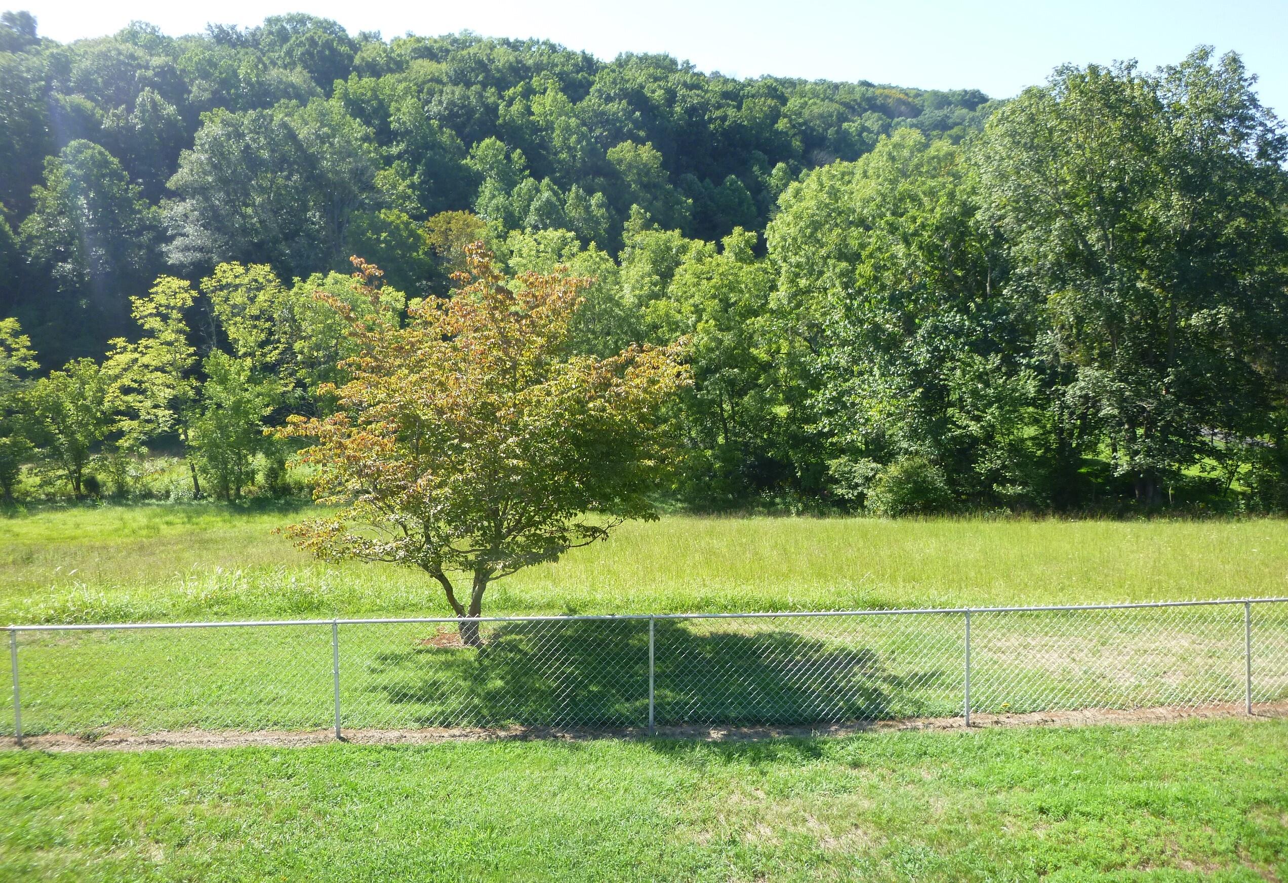761 Harbor Springs Road Kingsport, TN 37664 - Photo 34 of 95 761 Harbor Springs pic 34
