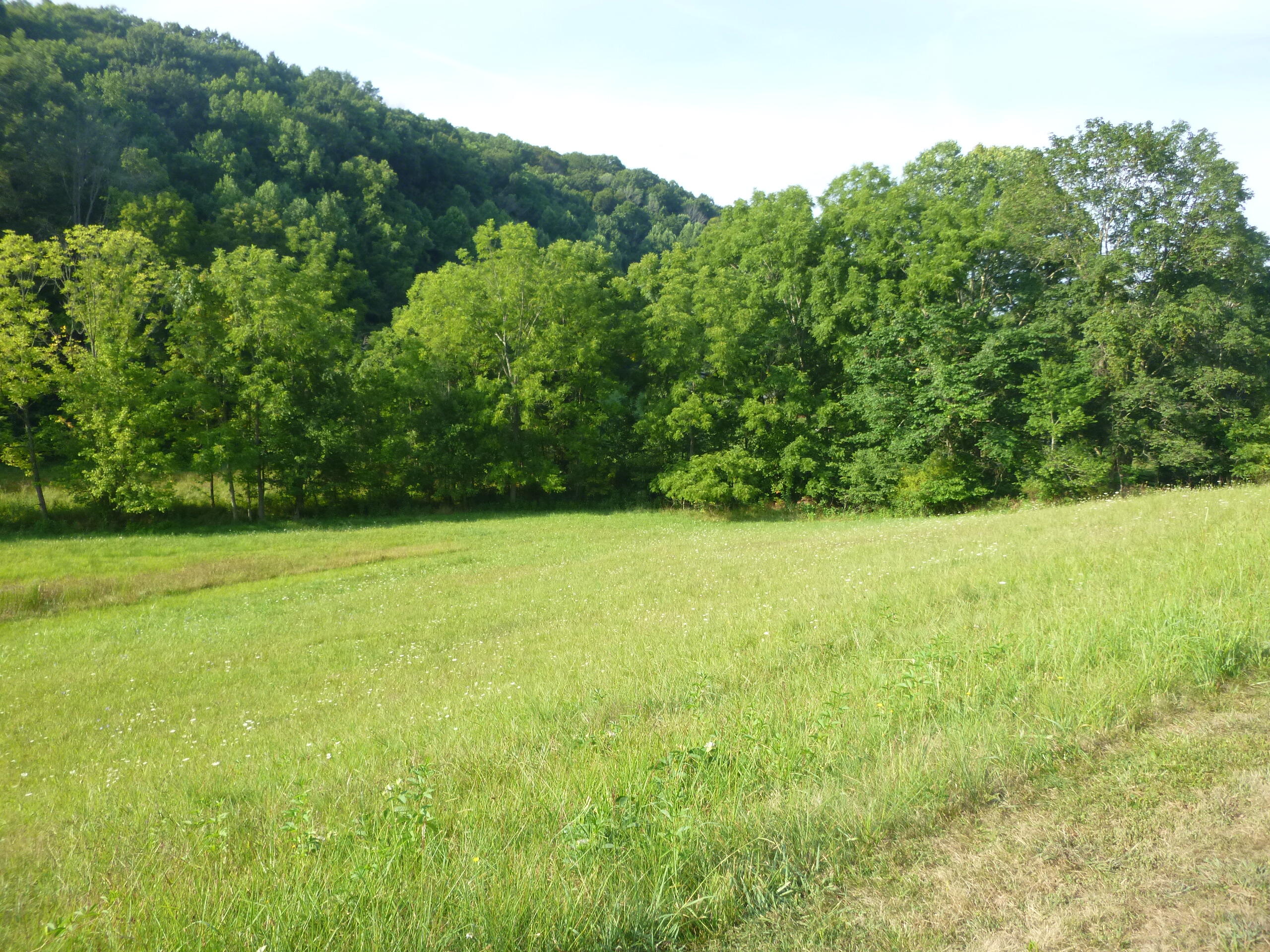 761 Harbor Springs Road Kingsport, TN 37664 - Photo 89 of 95 761 Harbor Springs pic 89