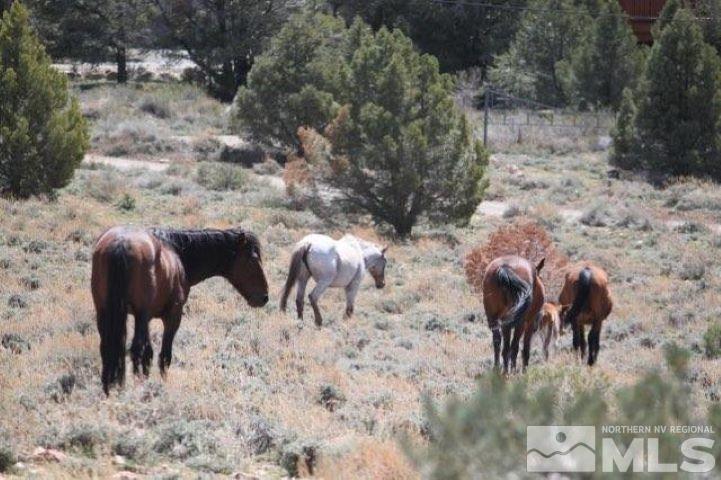 170 Vermillion Road Reno, NV 89521 - Photo 32 of 40 Photo 32