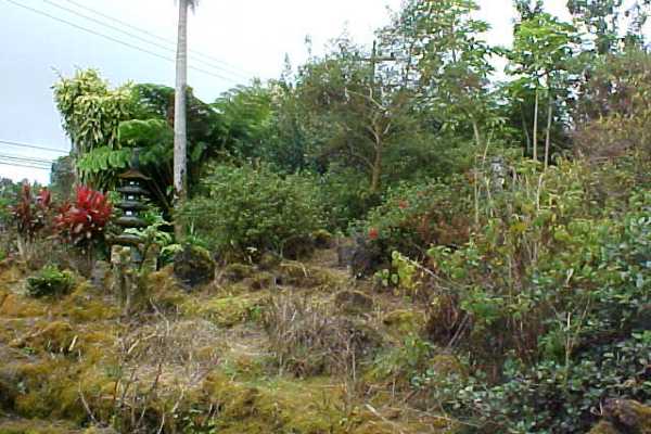 18-1190 Volcano Road Mountain View, HI 96771 - Photo 3 of 18 a view of a garden
