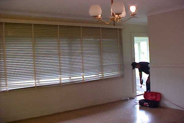 18-1190 Volcano Road Mountain View, HI 96771 - Photo 6 of 18 a view of a room with a window