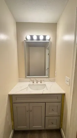 a bathroom with a sink vanity and a mirror