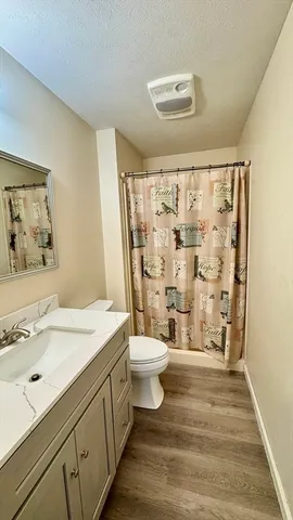 a bathroom with a sink a toilet and shower curtain