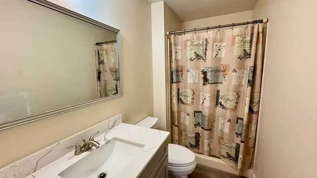 a bathroom with a sink a toilet and shower