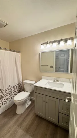a bathroom with a sink and mirror with toilet