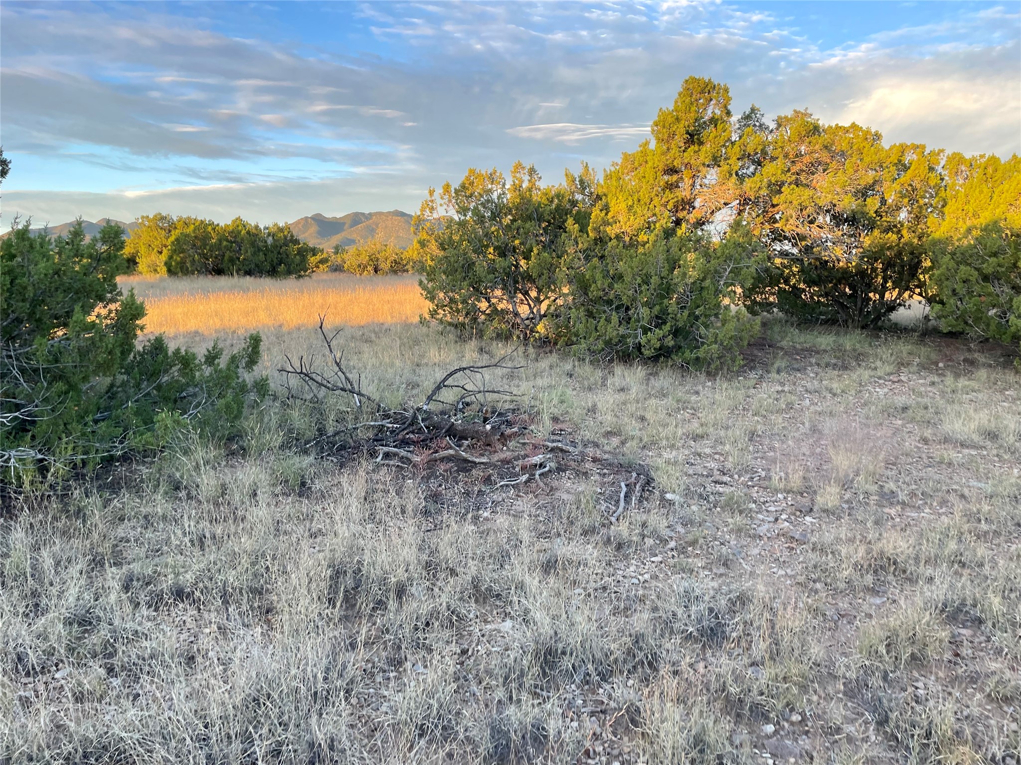 65 Grenfell Ranch Road Cerrillos, NM 87010 - Photo 31 of 46