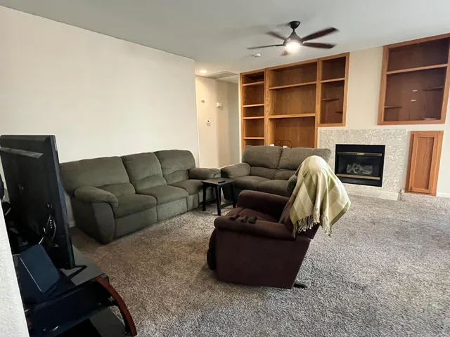 a living room with furniture windows and a fireplace