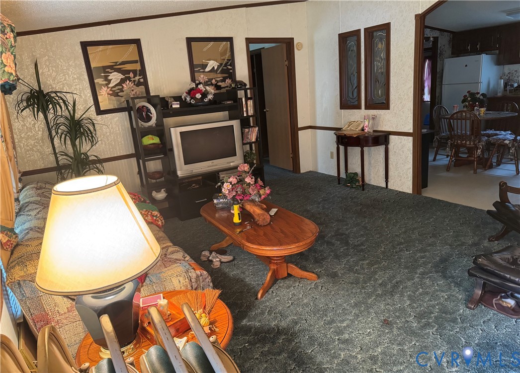 832 Evans Creek Road Brodnax, VA 23920 - Photo 3 of 13 a living room with furniture a flat screen tv and a fireplace