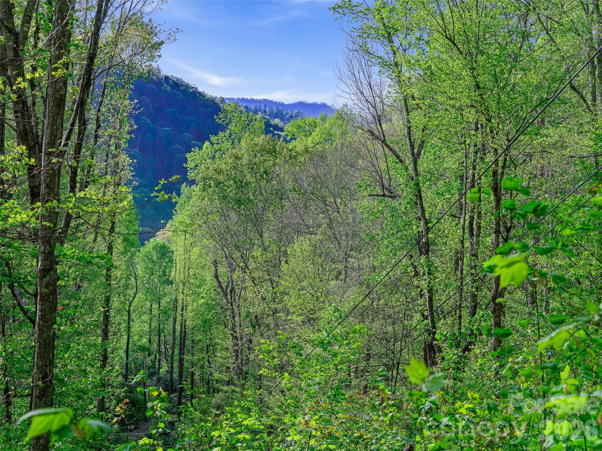 1161 Deep Gap Road Burnsville, NC 28714 - Photo 8 of 14