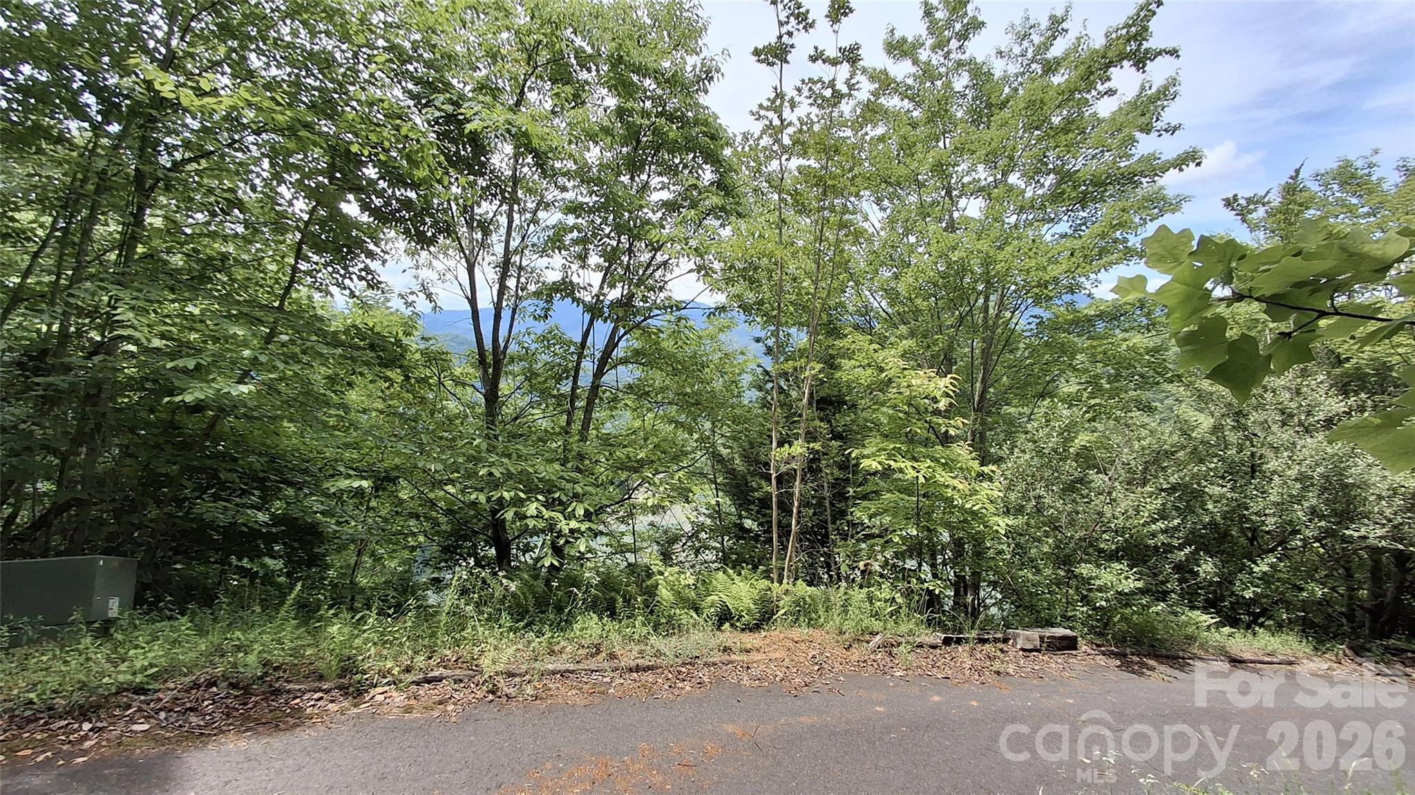 77 Kako Ridge, Unit 57 Sylva, NC 28779 - Photo 10 of 19