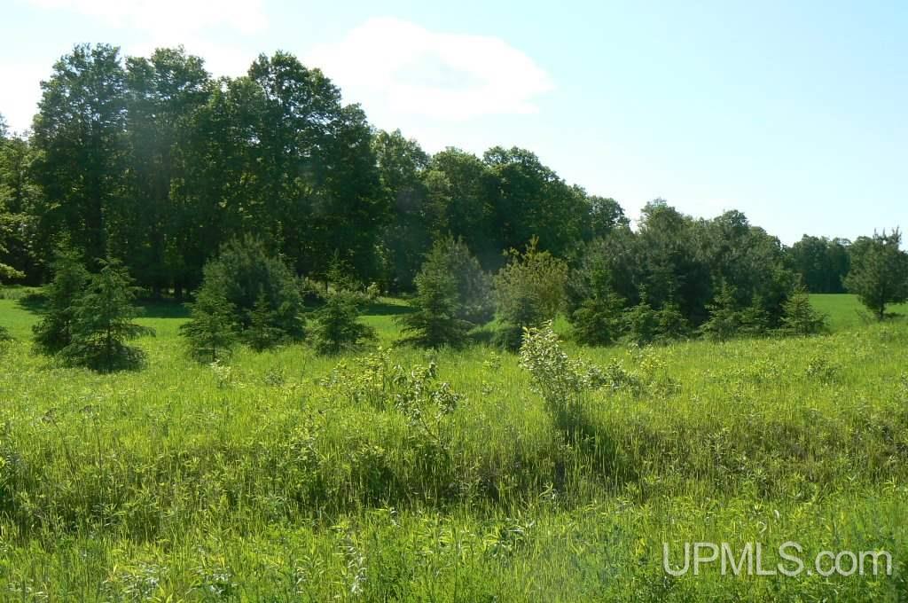 Tbd North Samuelson Road Chatham, MI 49816 - Photo 3 of 10