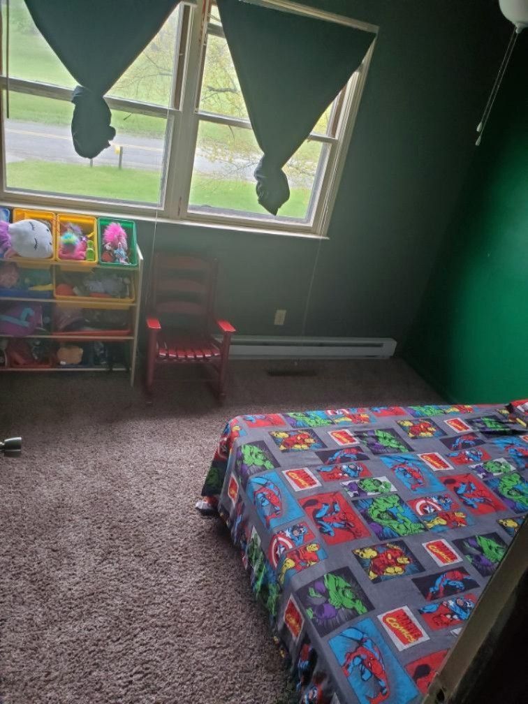 2520 Park Road Coloma, MI 49038 - Photo 34 of 48 ADA8A02B-08D2-4443-93C1-E81A29082F99