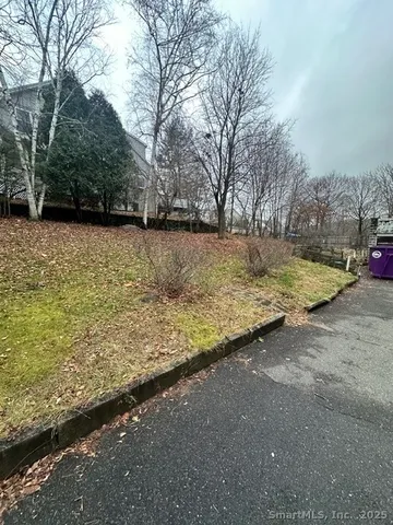 a view of backyard with large tree