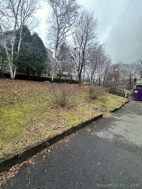 24 Maynard Avenue Waterbury, CT 06708 - Photo 27 of 32 a view of backyard with large tree