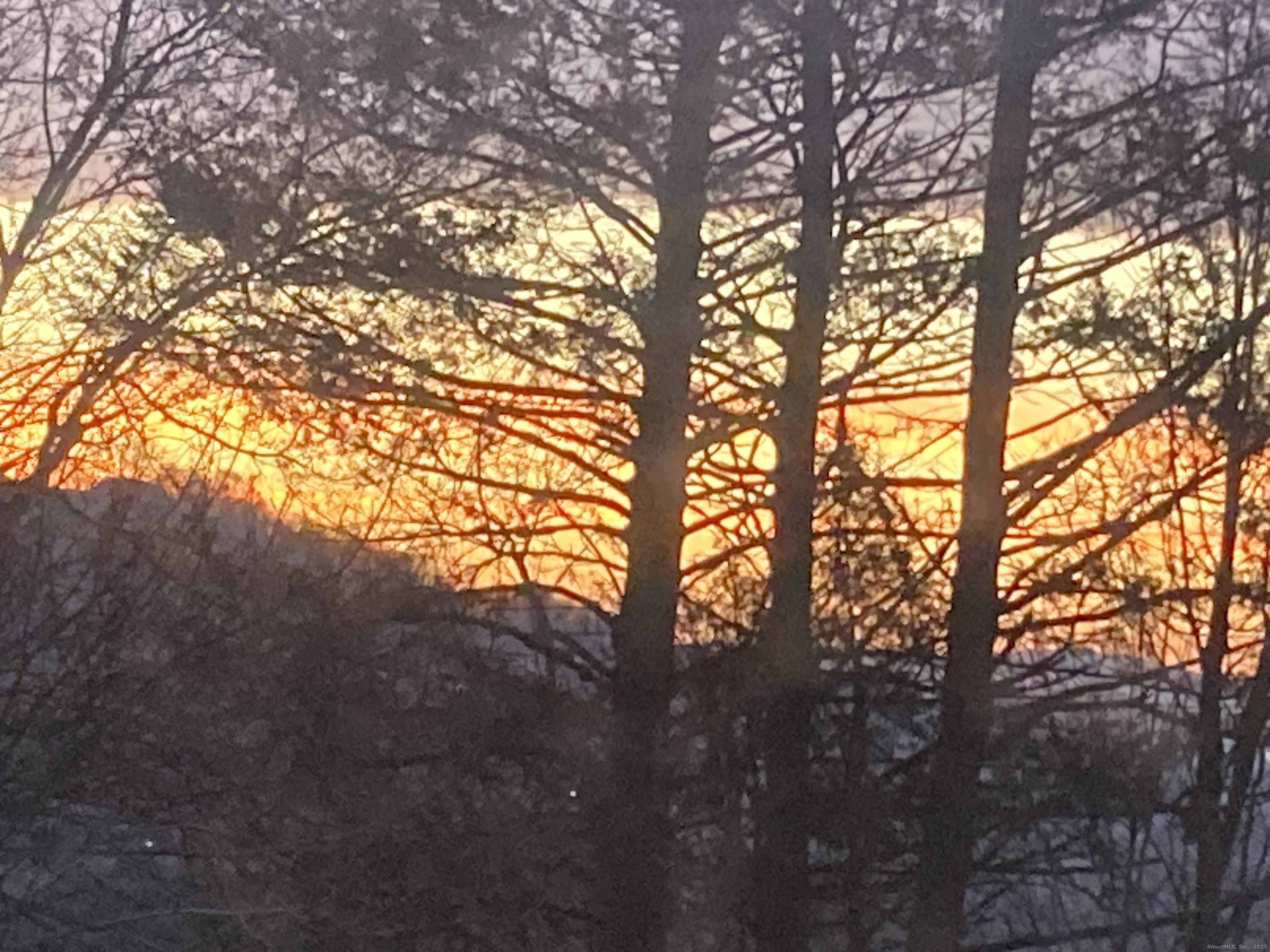 24 Maynard Avenue Waterbury, CT 06708 - Photo 30 of 32 a view of trees