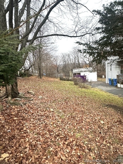 24 Maynard Avenue Waterbury, CT 06708 - Photo 7 of 32 a view of a yard with a tree