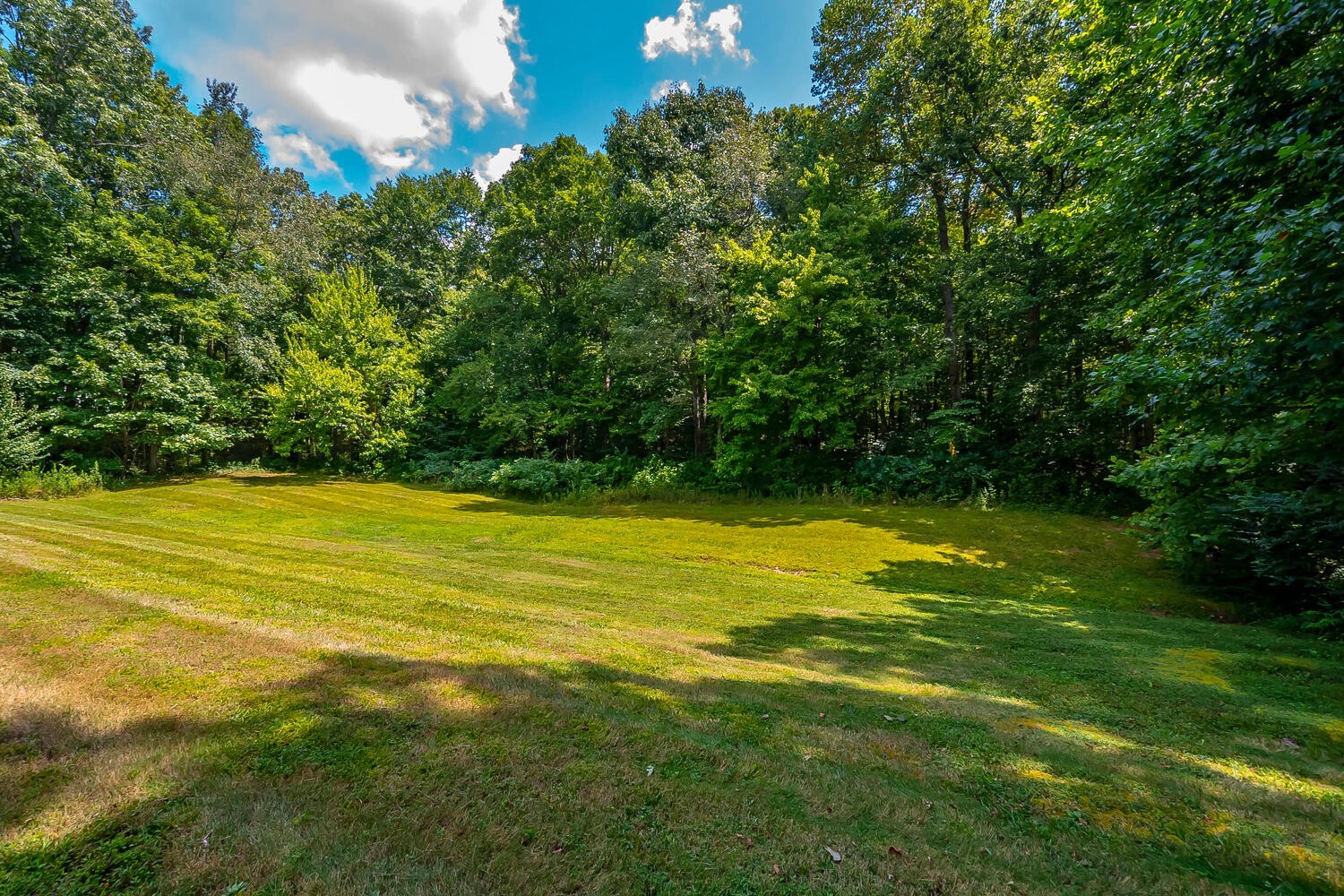 131 Gaskins Road Burns, TN 37029 - Photo 23 of 25 a view of a yard with a large trees