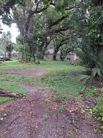 a view of a yard with a tree