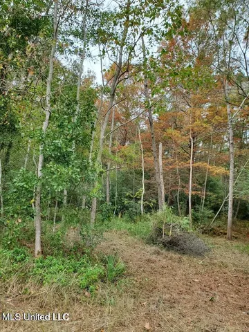 $20,000 | 0 Sandpiper Lane, Gautier, MS 39553